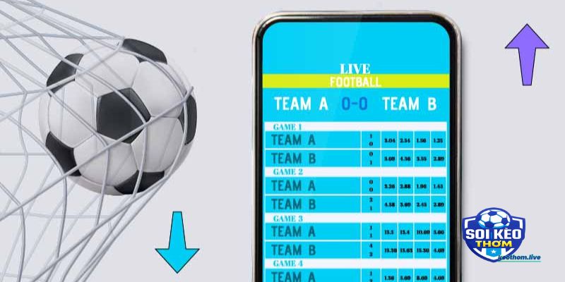 Cách đọc odds trong bóng đá cho người mới