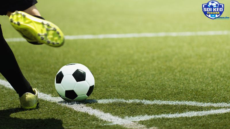 Những sai lầm thường gặp khi dùng thống kê soi kèo