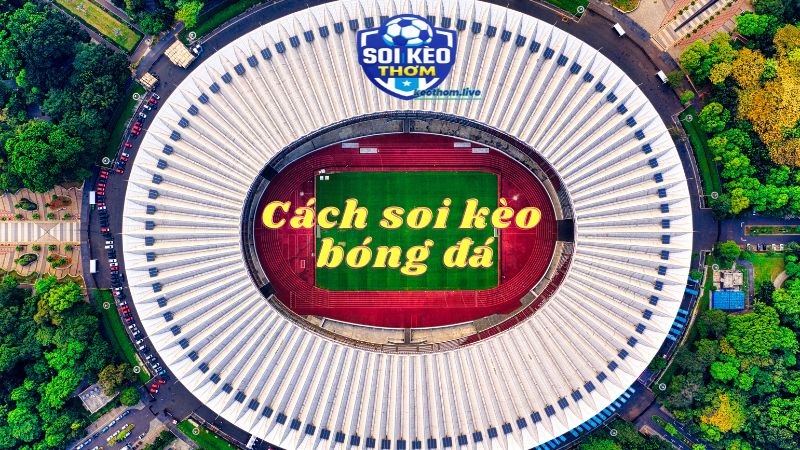 Đừng bỏ qua bối cảnh từng trận đấu khi soi kèo để đạt hiệu quả