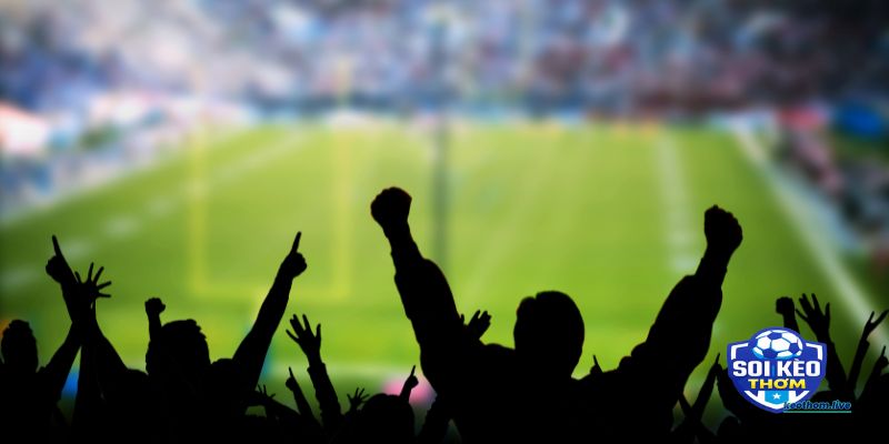 Thực tế kèo chẵn lẻ có phải 50/50 không?