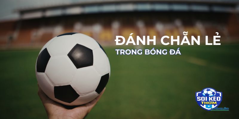 Đánh chẵn lẻ trong bóng đá