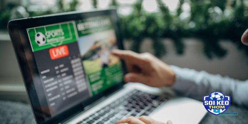 Dấu hiệu nhận biết kèo ngon trước giờ bóng lăn