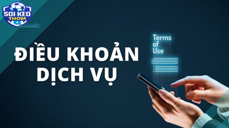 Người dùng cần phải nắm rõ điều khoản tại Kèo Thơm