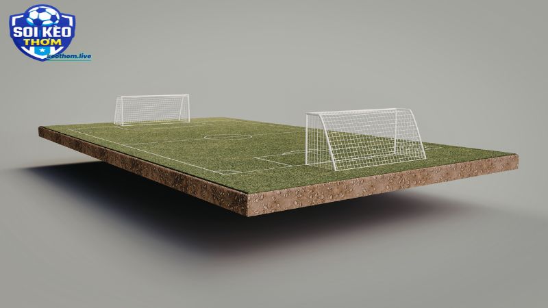 Chơi bóng cỏ cũng cần phải quản lý vốn một cách thông minh