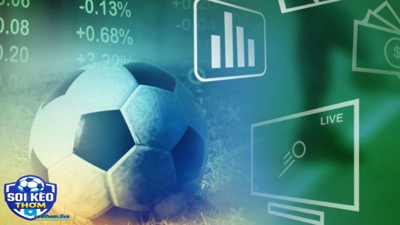 Anh em tân thủ cần phải biết cách nhìn kèo tỉnh táo