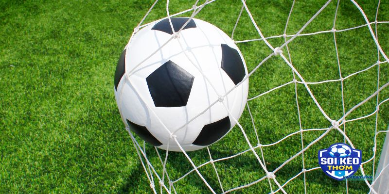 Odds có liên quan gì đến xác suất