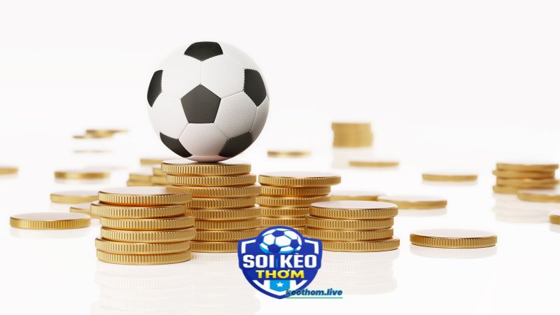 Cần phải tránh những sai lầm quản lý vốn khi gặp kèo ngon